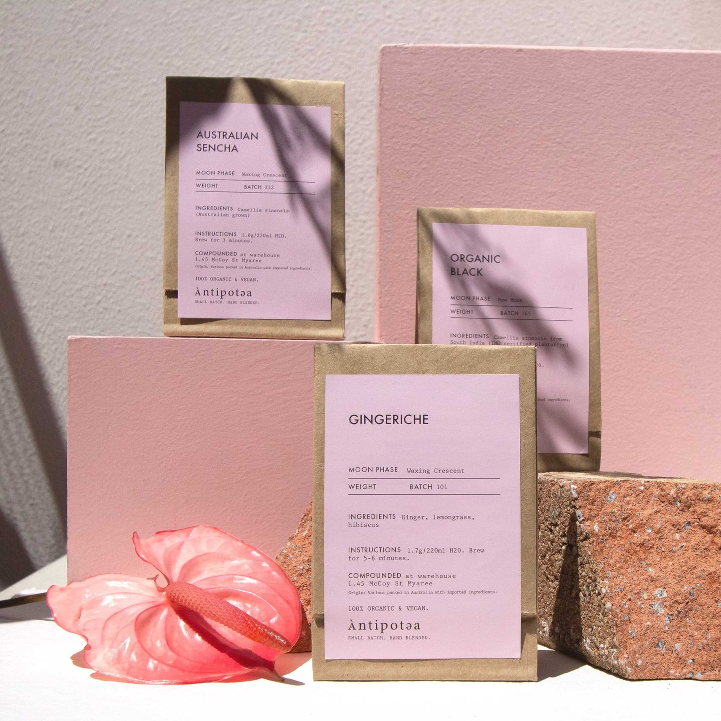 Tea Sampler Boxes
